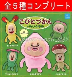 全5種　こびとづかんのぬいぐるみ　コンプリート　ガチャ