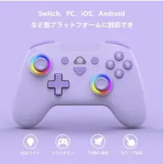 Switch プロコントローラー 背面ボタン付き無線タイプ