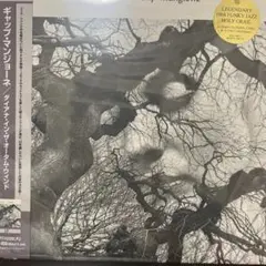 英LP Daevid Allen Banana Moon UKオリジナ最初期仕様 - メルカリ