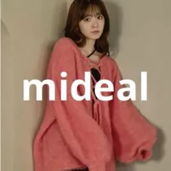 Item thumbnail for item 2618a14c-5465-4590-8b7f-fa82868690f4