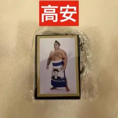 大相撲 ガチャ 明け荷キーホルダー 高安
