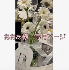 あああ様　専用ページ　２２日迄