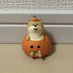 デコレ コンコンブル 犬とかぼちゃ