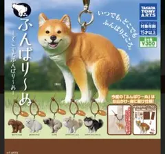 ほわんほわん ここ よろこび しっぽぶんぶん ぬいぐるみ 犬 - メルカリ