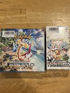 テラスタルフェス 楽園ドラゴーナ シュリンク付き