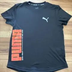 PUMA 黒 Tシャツ 140サイズ