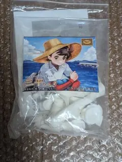 未開封 空崎 ヒナ ガレージキット おほし - メルカリ