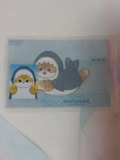 モフサンド mofusand　購入特典ノベルティ　カードケース　さめにゃん