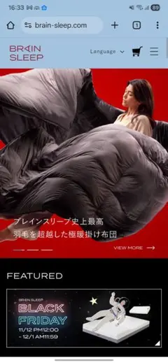 半額以下ブレインスリープ コンフォーター パーフェクト ウォーム EXダブル