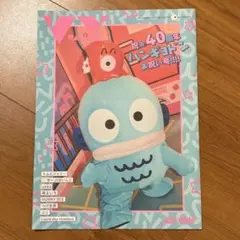 VV magazine vol.129 ハンギョドン40周年 フリーペーパー