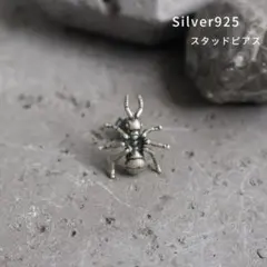 Item thumbnail for item 85557211-ef1c-4cbc-addc-00631a41a236