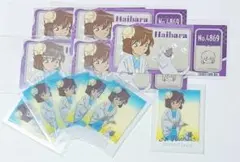 名探偵コナン ぱしゃこれクリアvol.3 チケット風カード 灰原哀