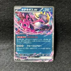 【2点目から200円引】キチキギスexノーマル仕様　管理番号: 25083037