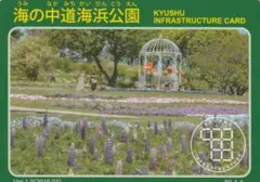 マキ様 リクエスト 2点 まとめ商品