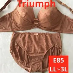 新品未使用 トリンプ Ｅ８５ 脇深カッブブラ＆ショーツ セット 大きいサイズのサムネイル