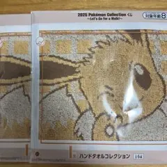 ポケモン2025 Pokémon Collection イーブイ タオル 2枚