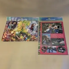 ディズニー　イマジニングザマジック　クリアホルダー　実写　2種セット