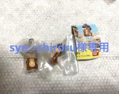 syo⭐︎chiroru様専用 ディズニー めじるしアクセサリーチップ デール