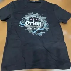 ユニセックスOrion ダークグレー Tシャツ Lサイズ