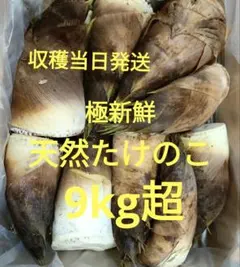 るるべ様　京都山城産　朝掘り筍訳あり4kg るるべ様 京都山城産 朝掘り筍訳あり4kg - メルカリ