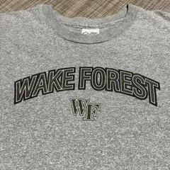90s usa製 シングルステッチ カレッジプリント 長袖Tシャツ ロンT 美品