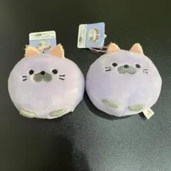 Item thumbnail for item b407c304-0b53-4d19-99c8-de711e524059