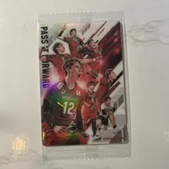 日本代表バレーボールトレーディングカード