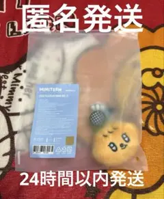 SEVENTEEN MINITEEN プギュリ KEYRING スングァン SEVENTEEN MINITEEN 2ND OFFICIAL MD [FACE PLUSH KEYRING] - Kpop USA