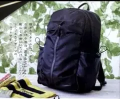 2025 阪神タイガース　シーズンシートシート　黒リュック