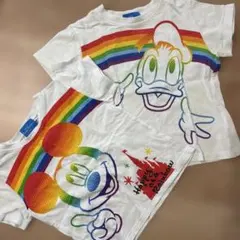 ディズニーリゾート　ミッキー　ドナルド　Tシャツ　お揃い　2枚セット