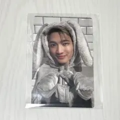 桜木雅哉 タレントカード