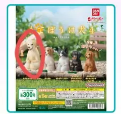 ラブラドールレトリバー　ゼオスキンヘルス4点セット まてぼうけ犬4 ラブラドール・レトリバー - メルカリ