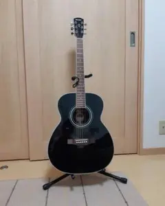 morris F-351 black ソフトケース付き