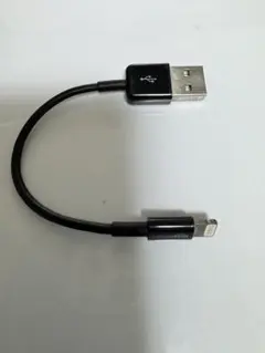 iPhone ライトニングUSB充電ケーブル 約10cm