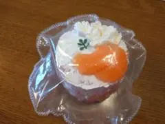 Item thumbnail for item 76c1c399-eada-42fb-8494-2225fa9726aa