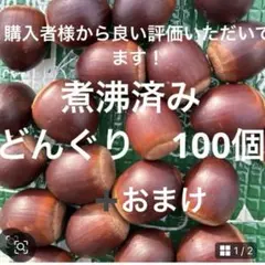 クヌギどんぐり　煮沸済み➕おまけ。