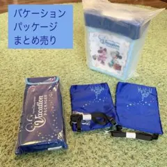 未使用 バケーションパッケージ ポータブルクッションほか4点