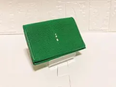 ★簡易梱包版★【新品・高級品】ガルーシャ名刺入れ　キャビア　グリーン