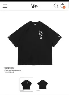 Item thumbnail for item 5e15c51c-ec45-47e0-8db7-b66e7dc78f42