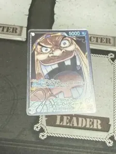 ティーチ リーダー