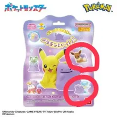 ポケモン メタモンと一緒 マスコット イーブイ クワッス