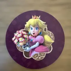 スーパーマリオキャラクターステッカールイージ新品