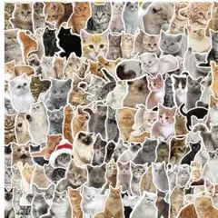 シール- ／コラージュ素材/海外/ステッカー/ネコ　かわいい 防水 猫ステッカー