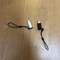 変換コネクタ シルバー ブラック 2個セット