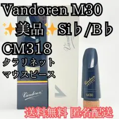 Item thumbnail for item 82228655-7fc0-4b30-8455-cae8a84fcbd6