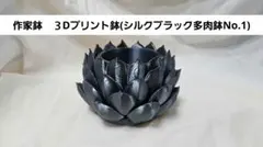 作家鉢 ３Dプリント鉢 シルクブラック多肉鉢No.1