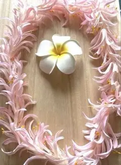 フラダンス ダンス・バレエ