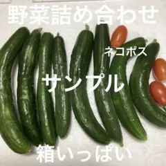 野菜詰め合わせのサムネイル