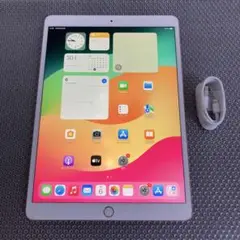 ipad pro 10.5インチ 256gb