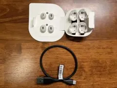 Bose QuietComfort Earbuds II イヤーチップ 白